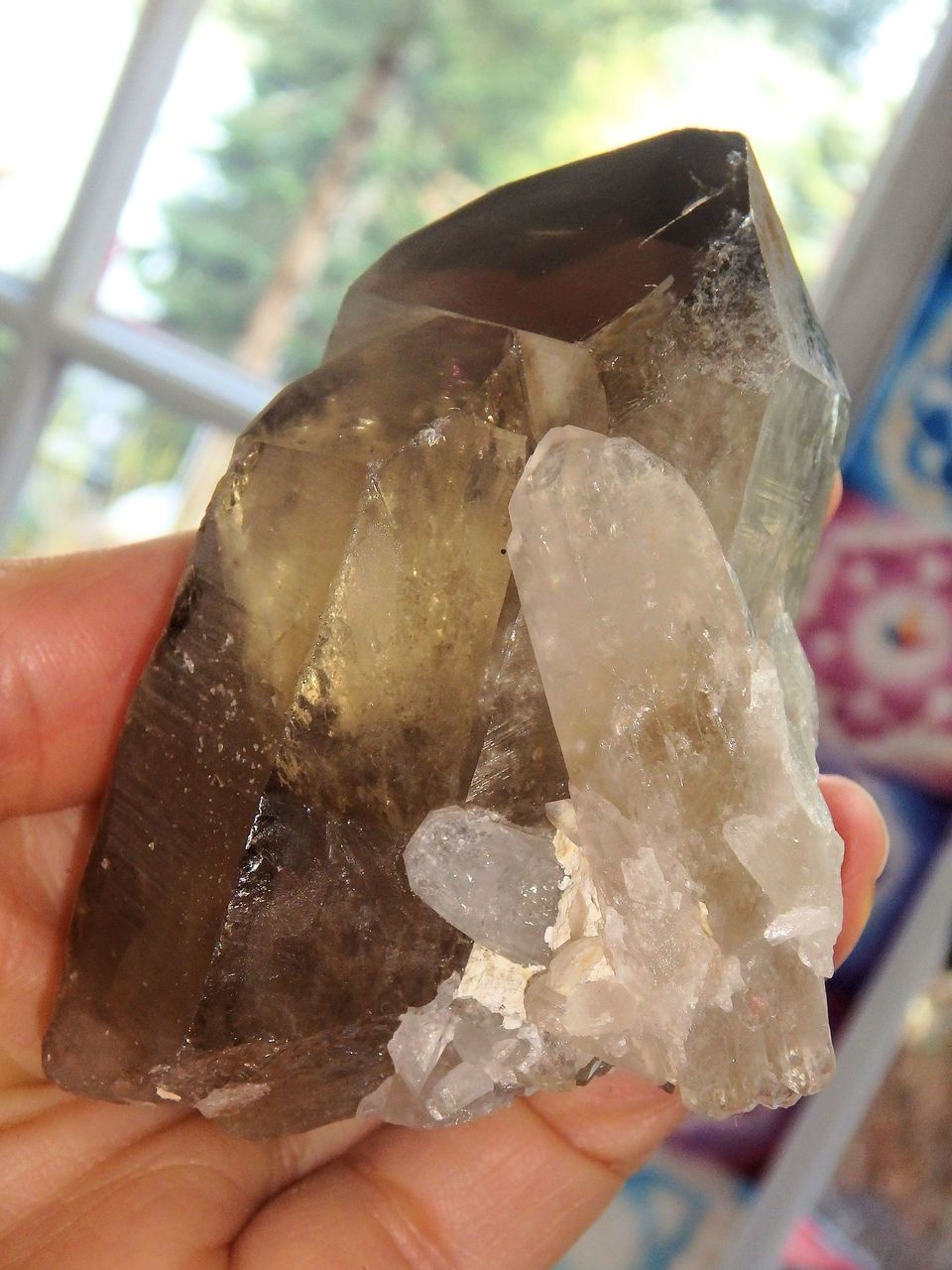 Phantom Included Natural Smoky Quartz Multi Point Standing Specimen - Earth Family Crystals