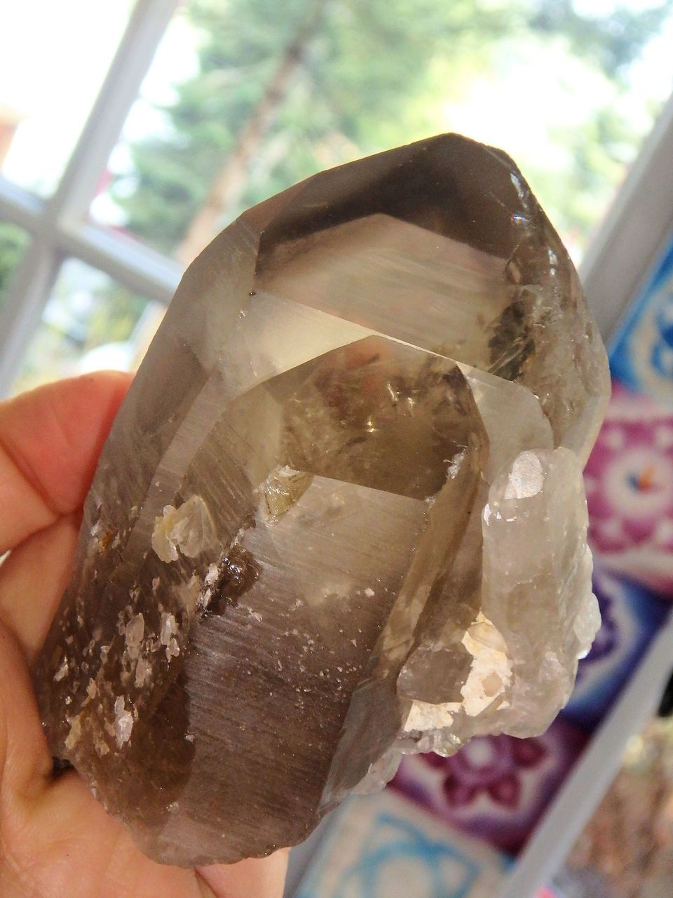 Phantom Included Natural Smoky Quartz Multi Point Standing Specimen - Earth Family Crystals