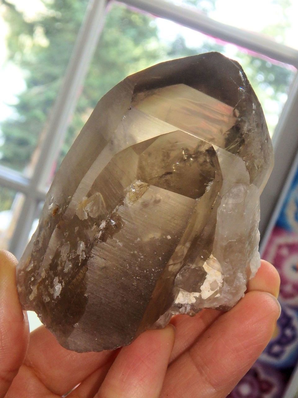 Phantom Included Natural Smoky Quartz Multi Point Standing Specimen - Earth Family Crystals