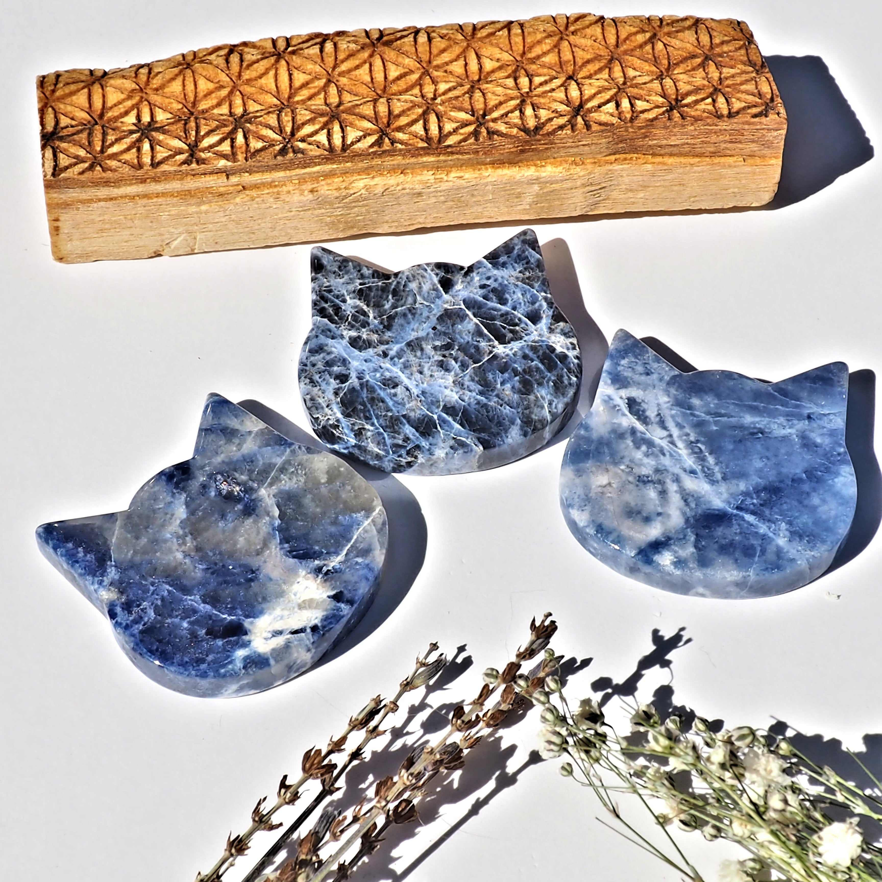 ONE Adorable Sky Blue Pattern Sodalite Cat Carving From Brazil - Earth Family Crystals