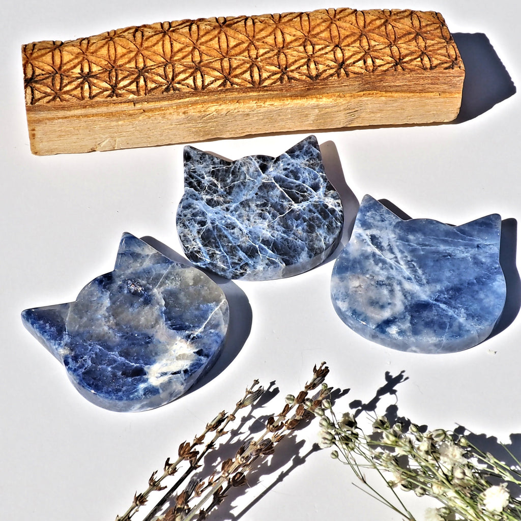 ONE Adorable Sky Blue Pattern Sodalite Cat Carving From Brazil - Earth Family Crystals