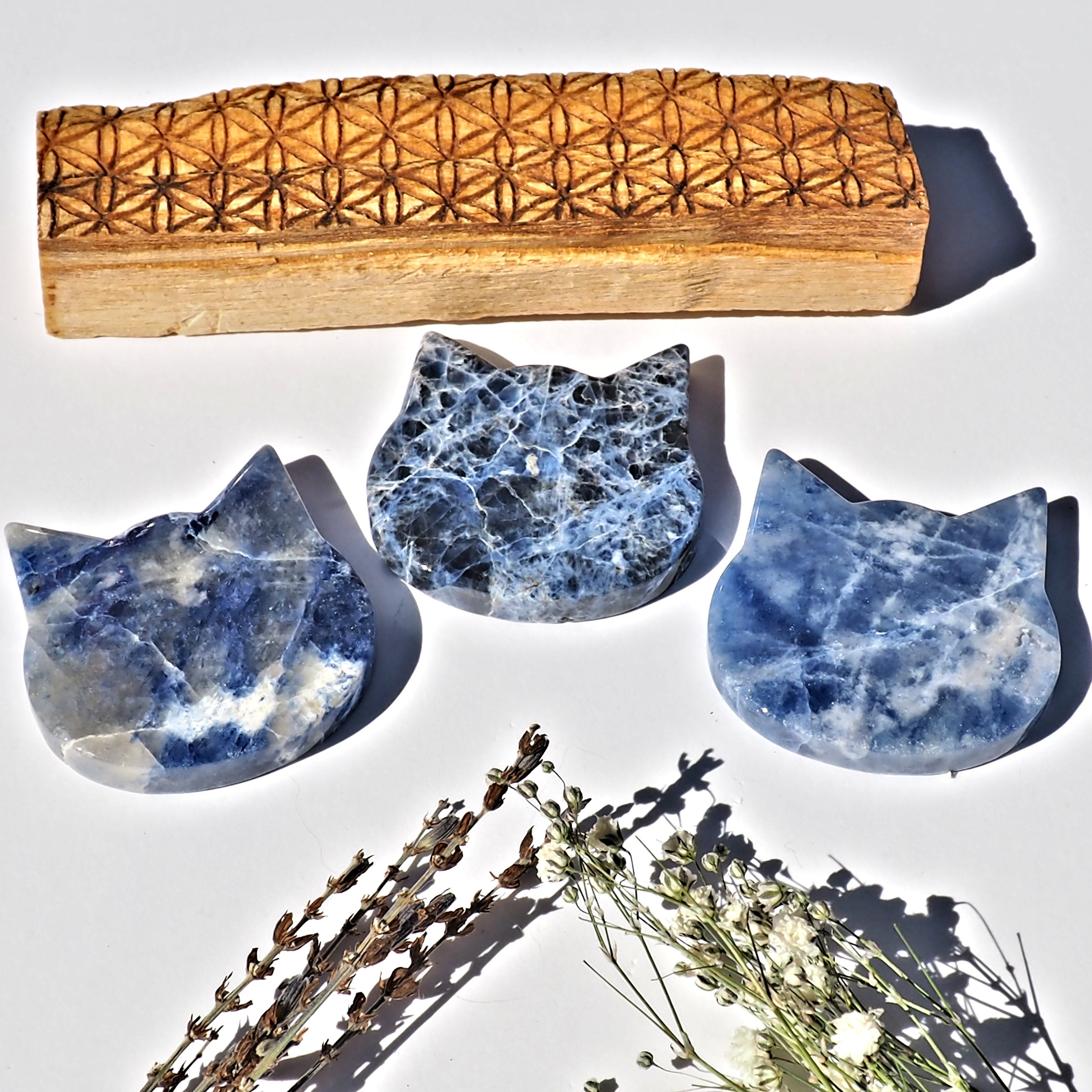 ONE Adorable Sky Blue Pattern Sodalite Cat Carving From Brazil - Earth Family Crystals