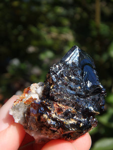 Shiny Deep Burgundy Sphalerite Specimen From Elmwood Mine