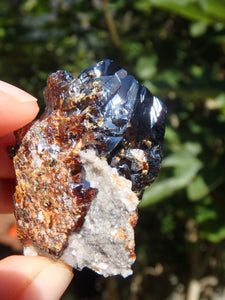 Shiny Deep Burgundy Sphalerite Specimen From Elmwood Mine