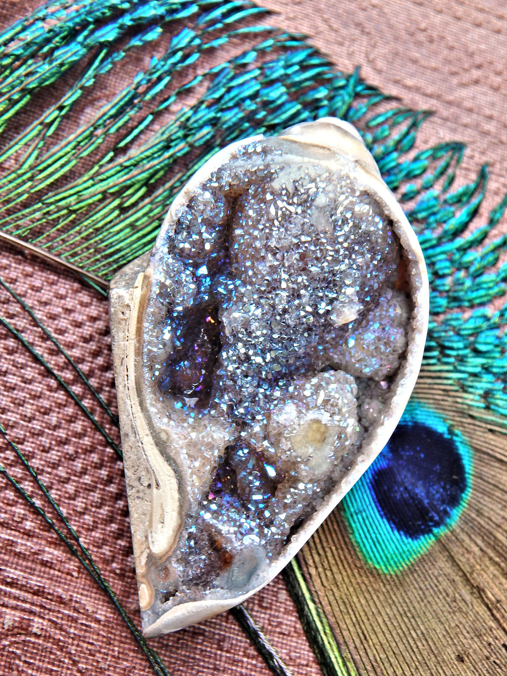 Fabulous Sparkles Aura Infused Spiralite Gemshell From India - Earth Family Crystals