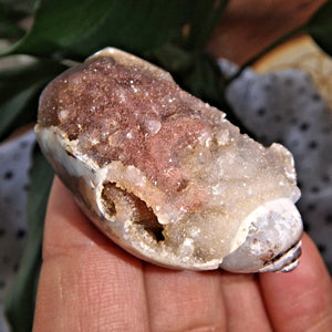 Unusual Smoky Druzy Spiralite Gemshell Specimen From India 8 - Earth Family Crystals