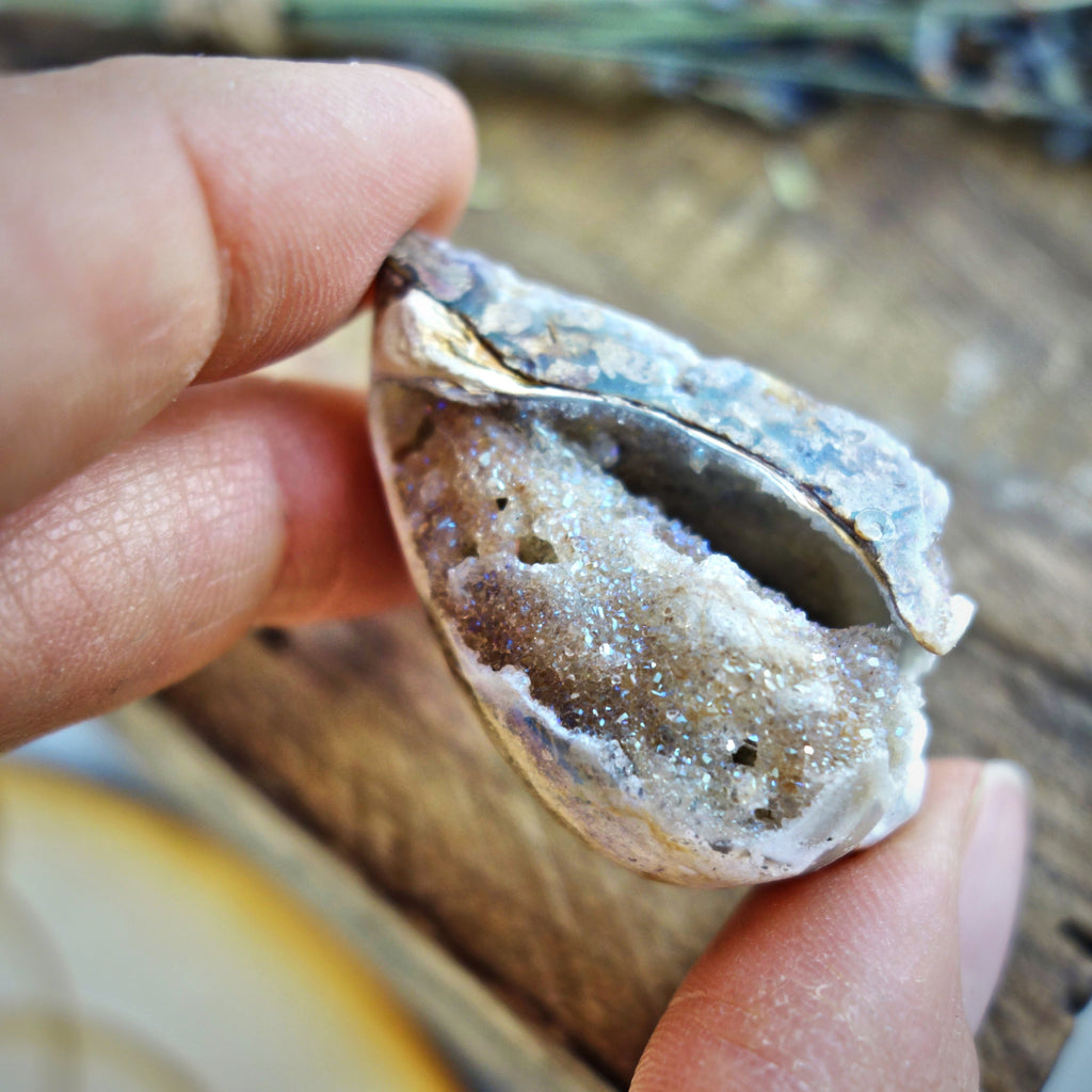 Gorgeous Double Sided Brilliance Spiralite Gemshell From India - Earth Family Crystals