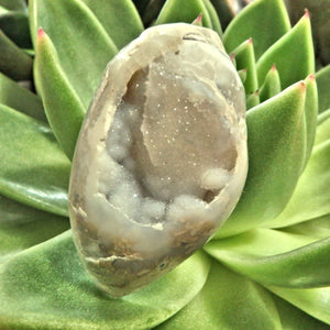 Chunky Sparkling Druzy Rare Spiralite Gemshell Specimen From India - Earth Family Crystals