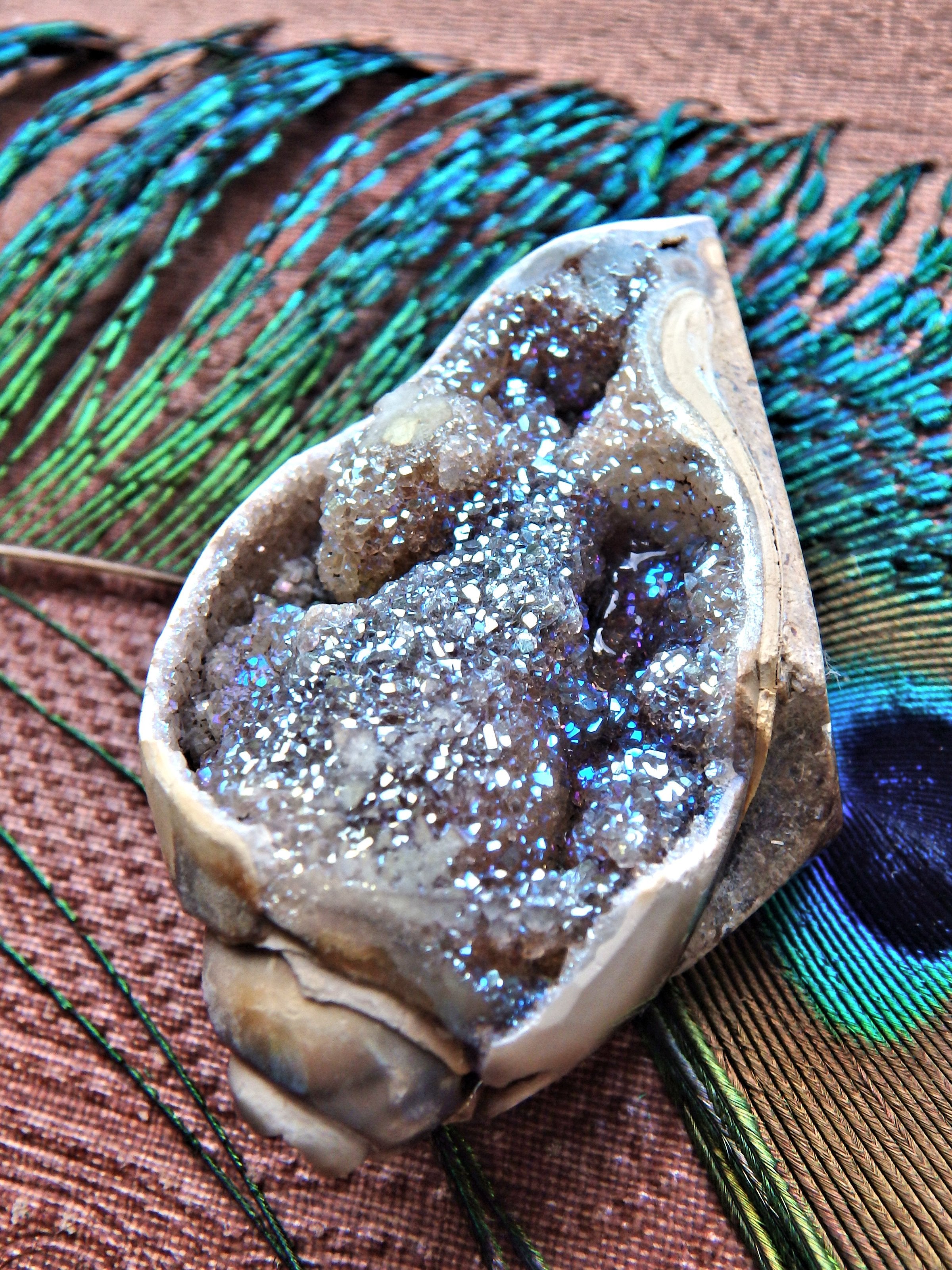 Fabulous Sparkles Aura Infused Spiralite Gemshell From India - Earth Family Crystals