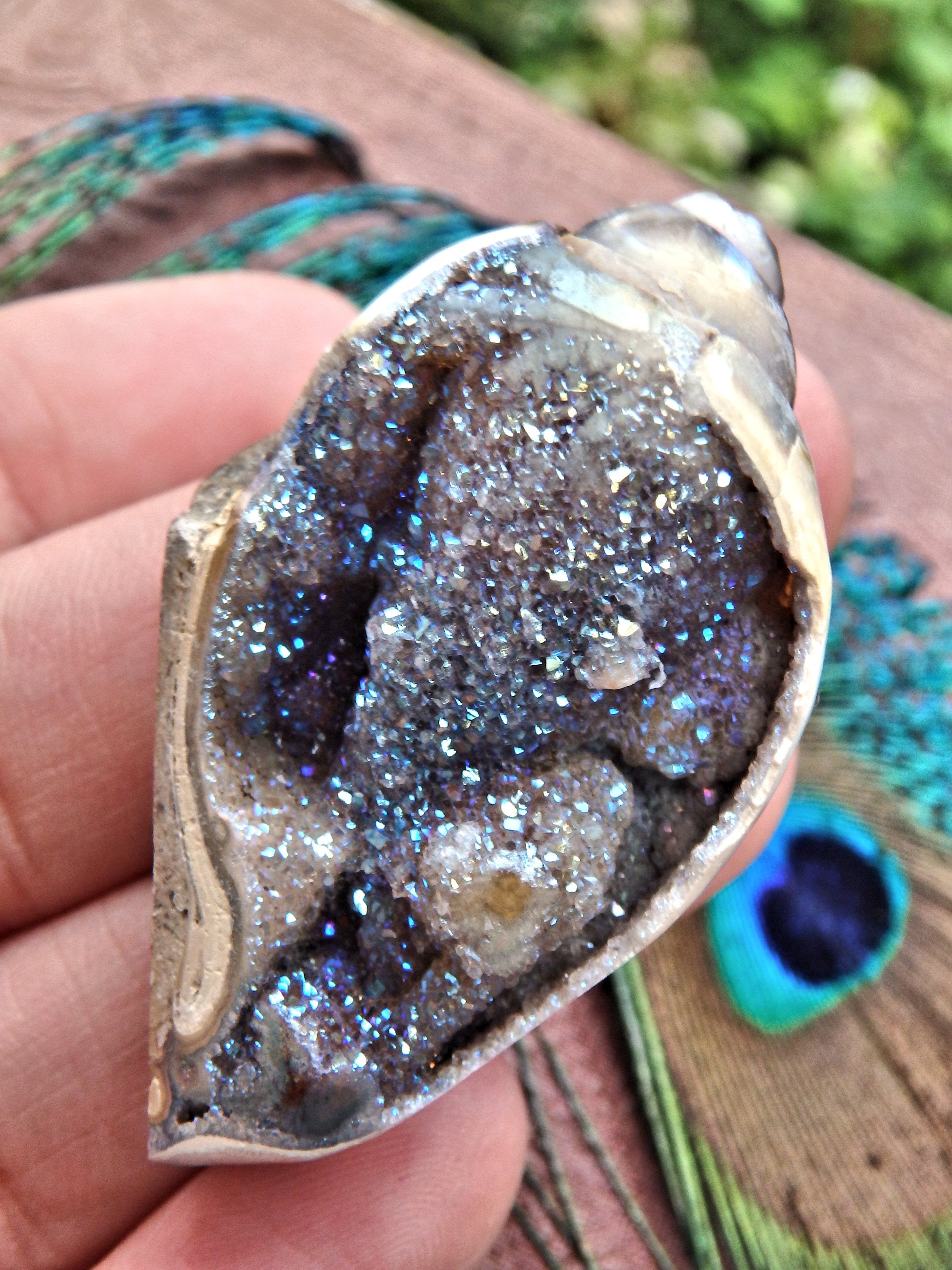 Fabulous Sparkles Aura Infused Spiralite Gemshell From India - Earth Family Crystals
