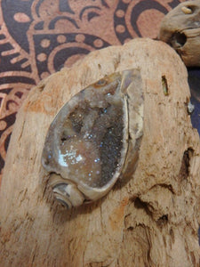 Pretty Aura Infused Spiralite Gemshell Specimen From India - Earth Family Crystals