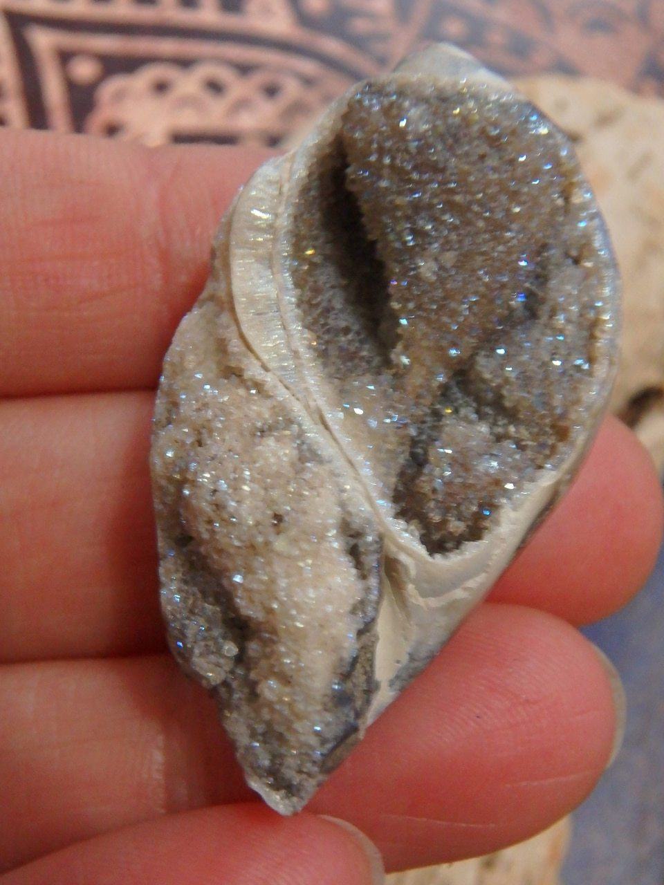 2 Dimension Druzy Shimmer Aura Infused Spiralite Gemshell Specimen From India - Earth Family Crystals