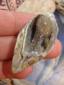 Pretty Aura Infused Spiralite Gemshell Specimen From India - Earth Family Crystals