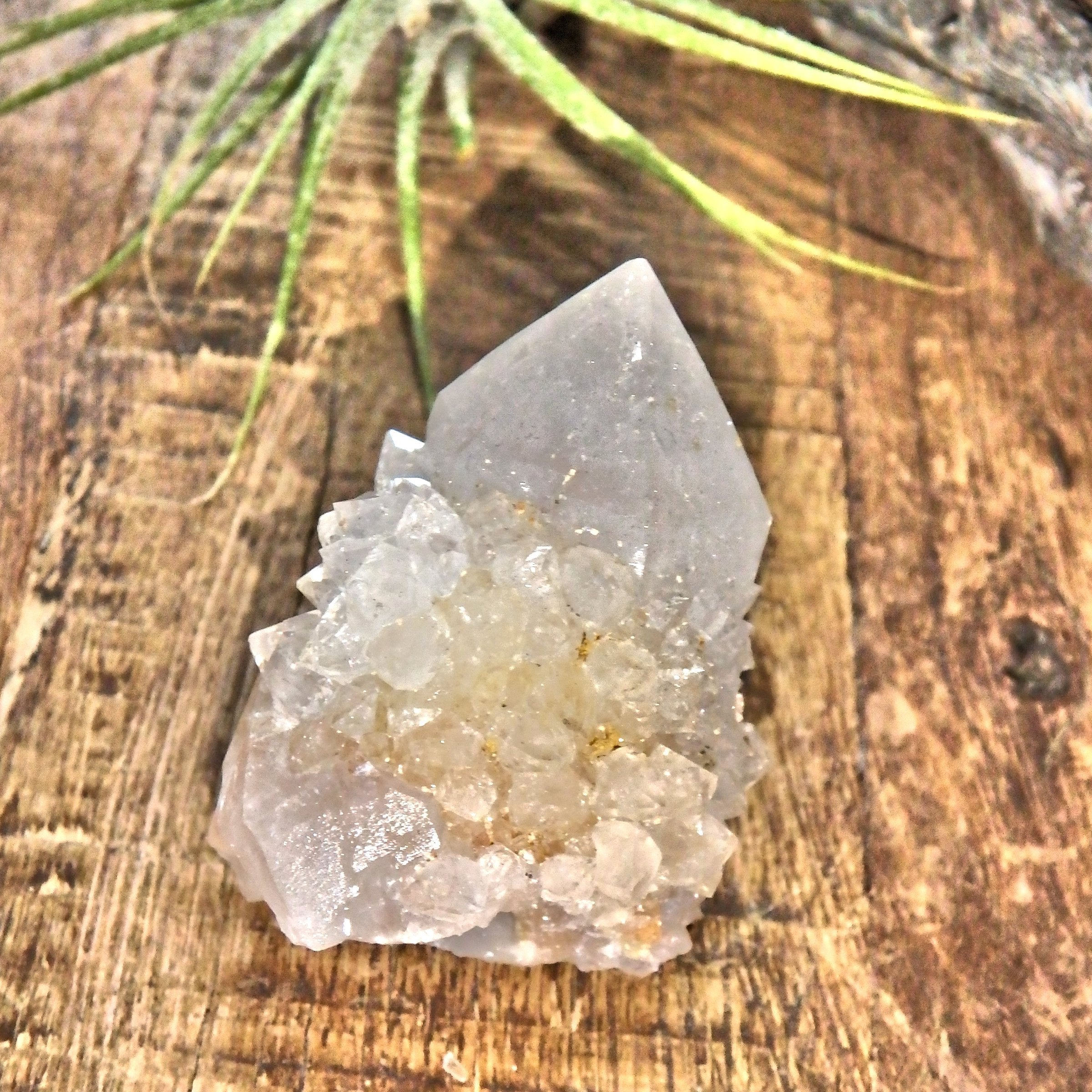 Record Keepers White Spirit Quartz Point With Citrine Inclusion - Earth Family Crystals