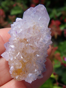 Single Point Ametrine Spirit Quartz Specimen From South Africa - Earth Family Crystals