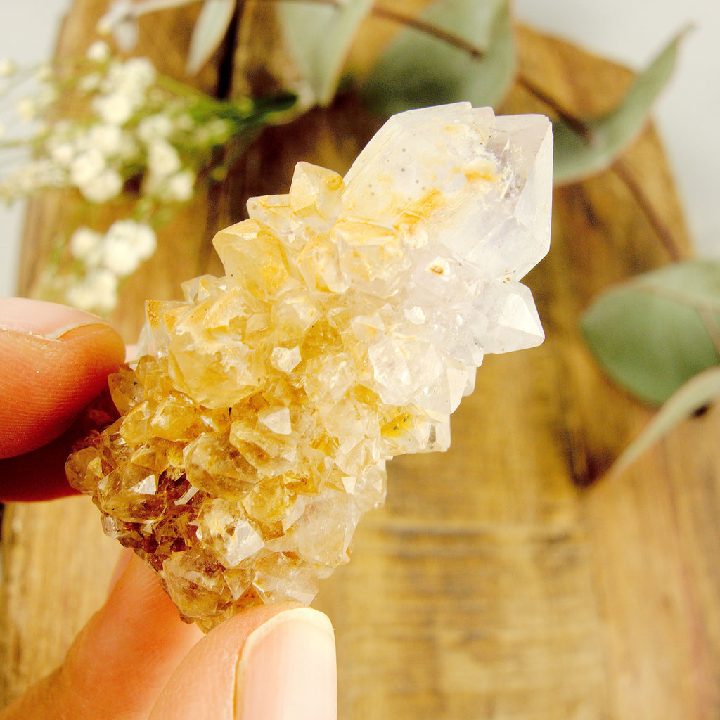 Phantom Included Purple Ametrine Spirit Quartz Cluster #2 - Earth Family Crystals