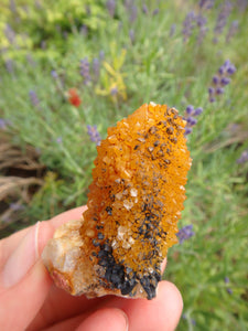 Awesome Natural Citrine Spirit Quartz Point From South Africa 1 - Earth Family Crystals