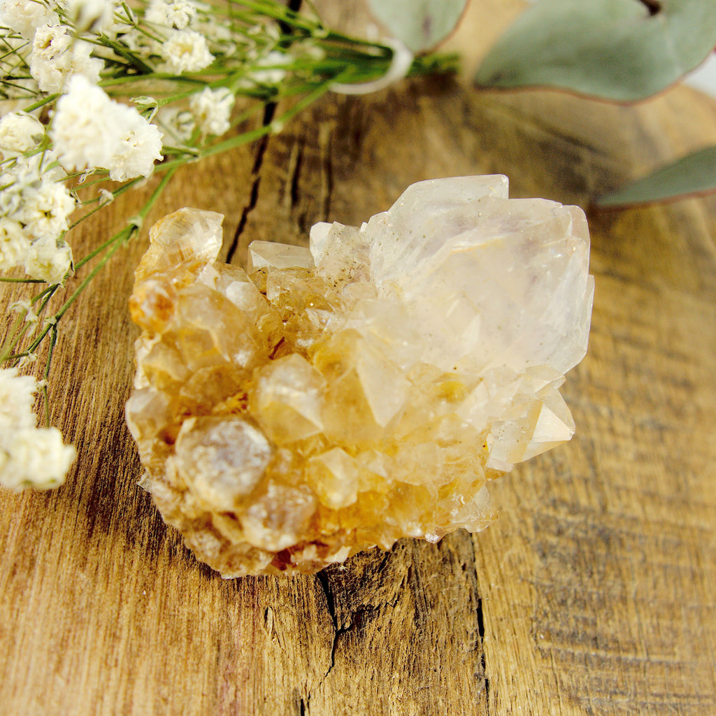 Phantom Included Purple Ametrine Spirit Quartz Cluster #1 - Earth Family Crystals