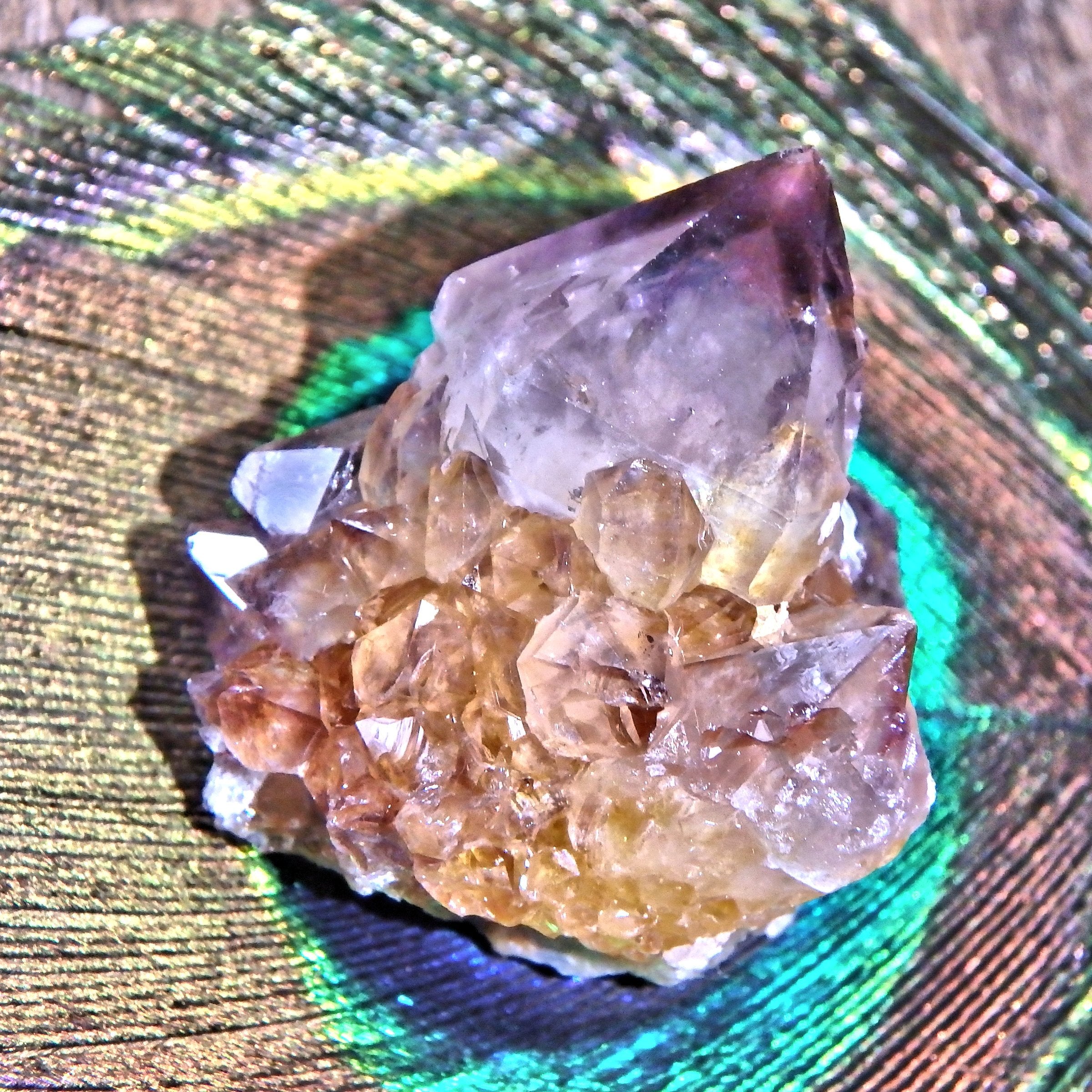 Star Ametrine Dainty Natural Spirit Quartz Cluster