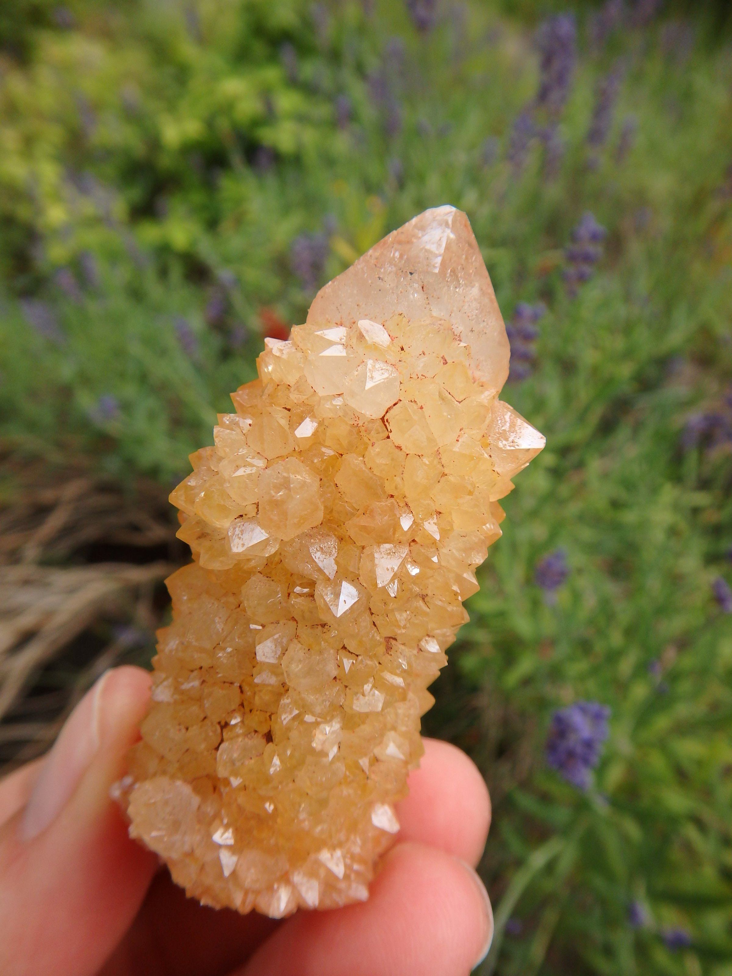 Awesome Natural Citrine Spirit Quartz Point From South Africa 2 - Earth Family Crystals