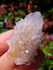 Single Point Ametrine Spirit Quartz Specimen From South Africa - Earth Family Crystals