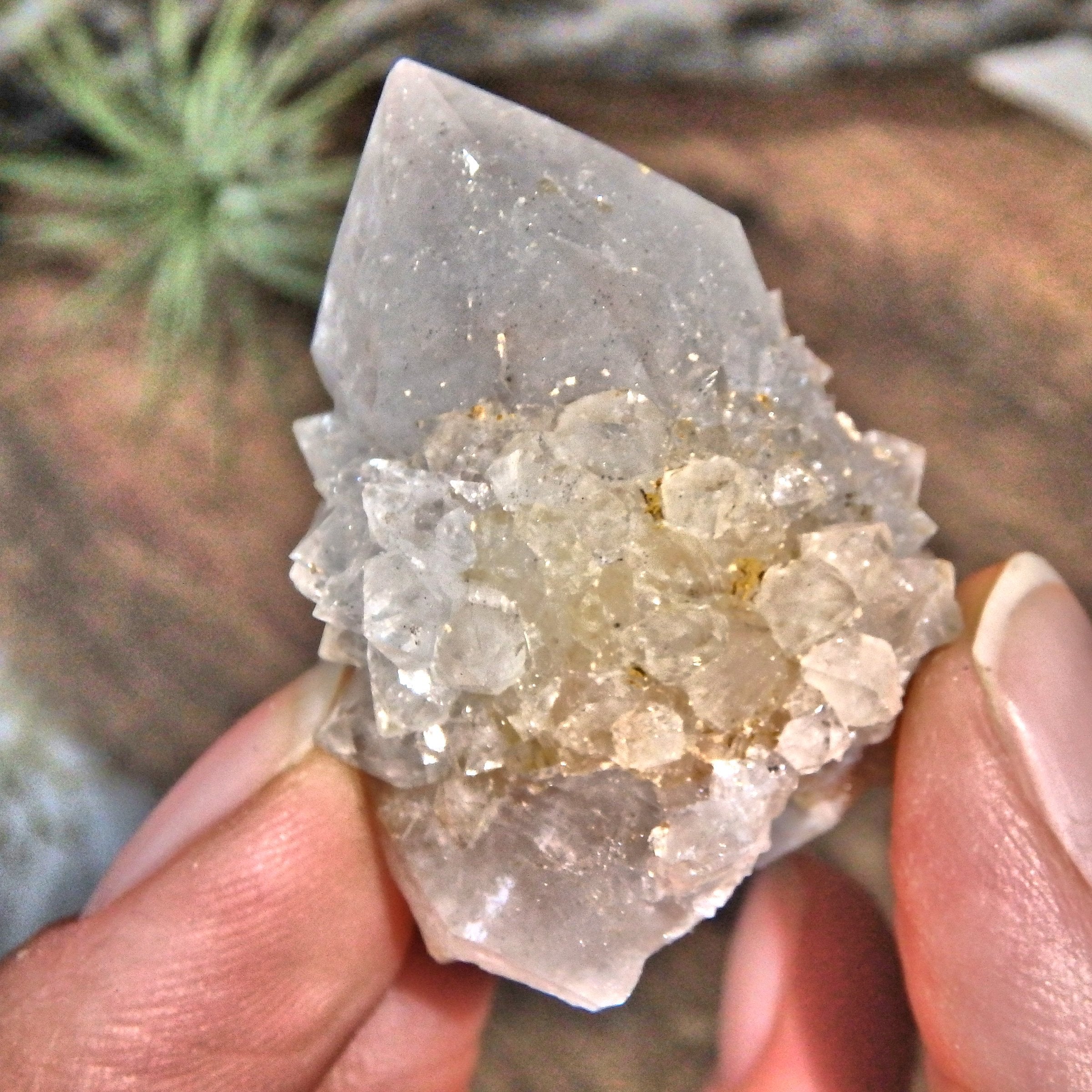 Record Keepers White Spirit Quartz Point With Citrine Inclusion - Earth Family Crystals