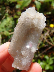 Twin Flame White Spirit Quartz Point Specimen - Earth Family Crystals