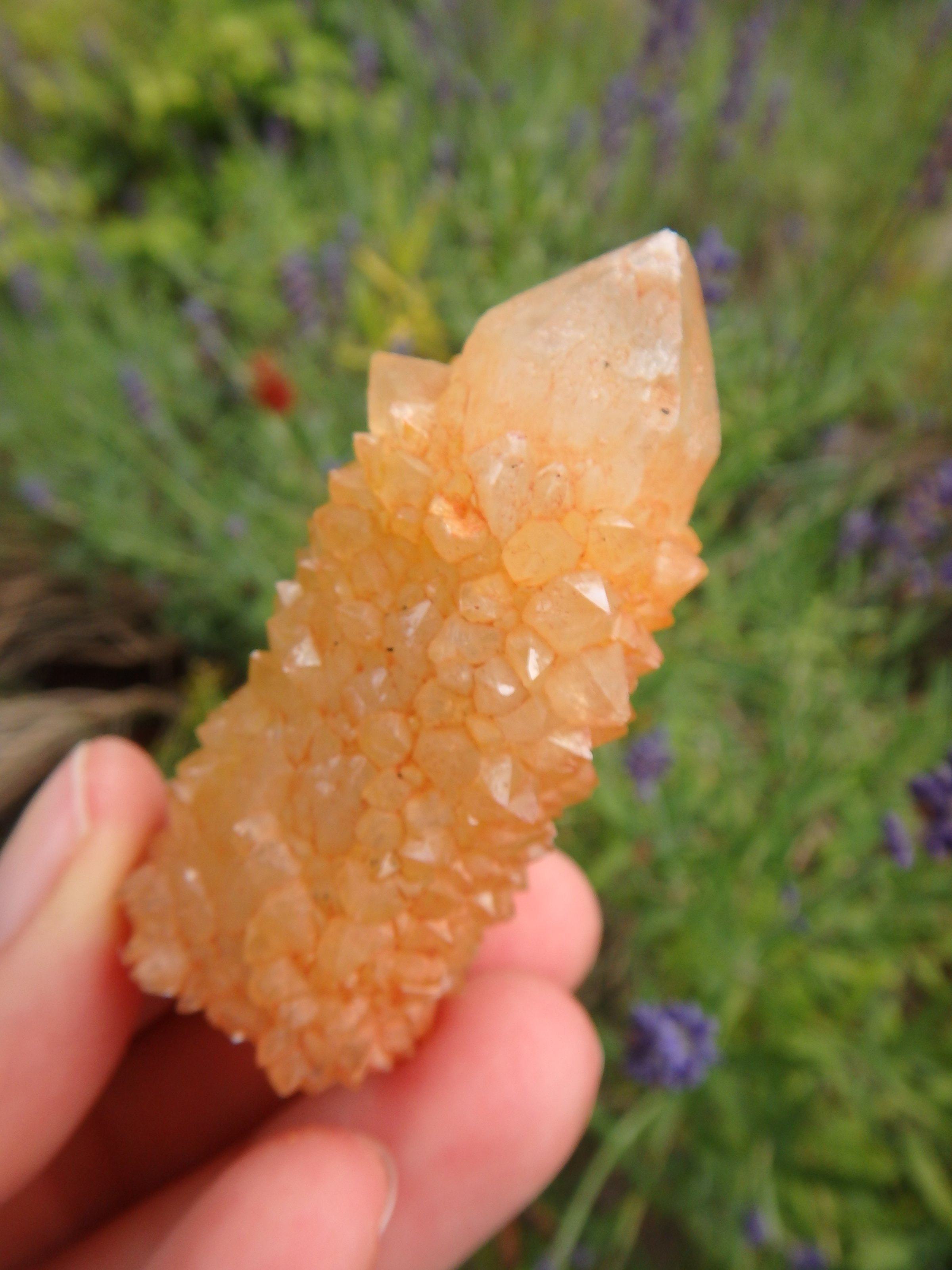 Awesome Natural Citrine Spirit Quartz Point From South Africa 2 - Earth Family Crystals