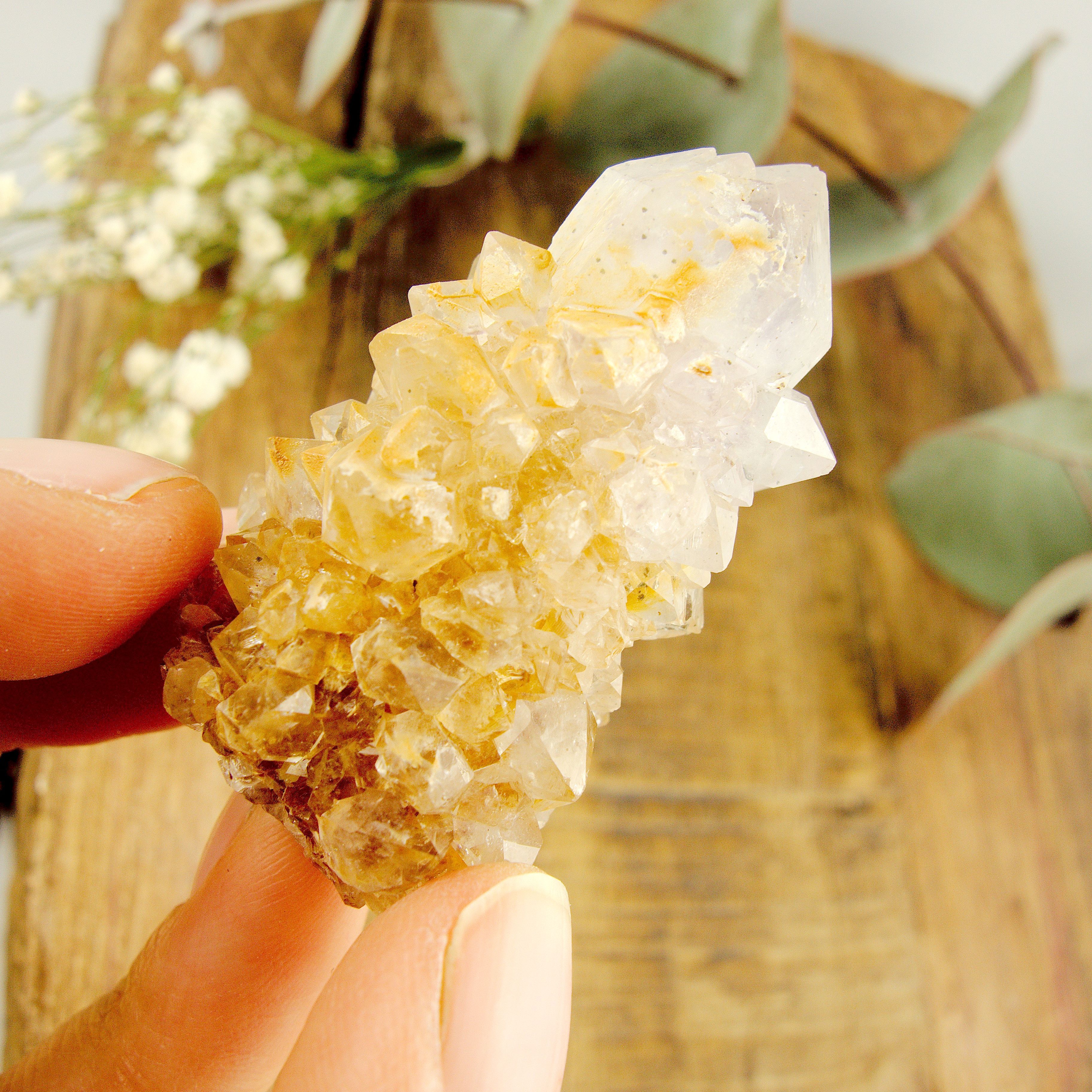 Phantom Included Purple Ametrine Spirit Quartz Cluster #2 - Earth Family Crystals