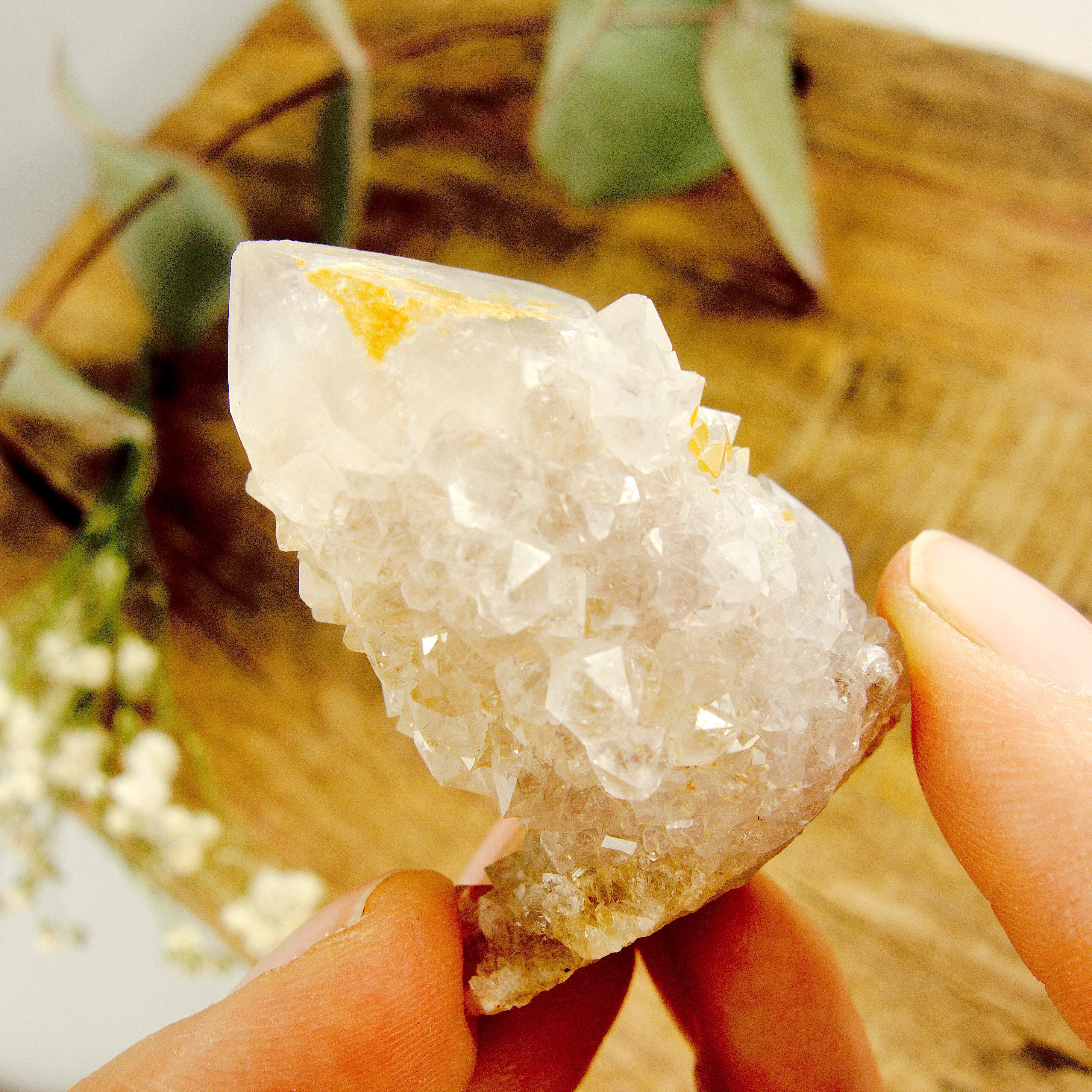 Pale Purple Ametrine Spirit Quartz Cluster #2 - Earth Family Crystals