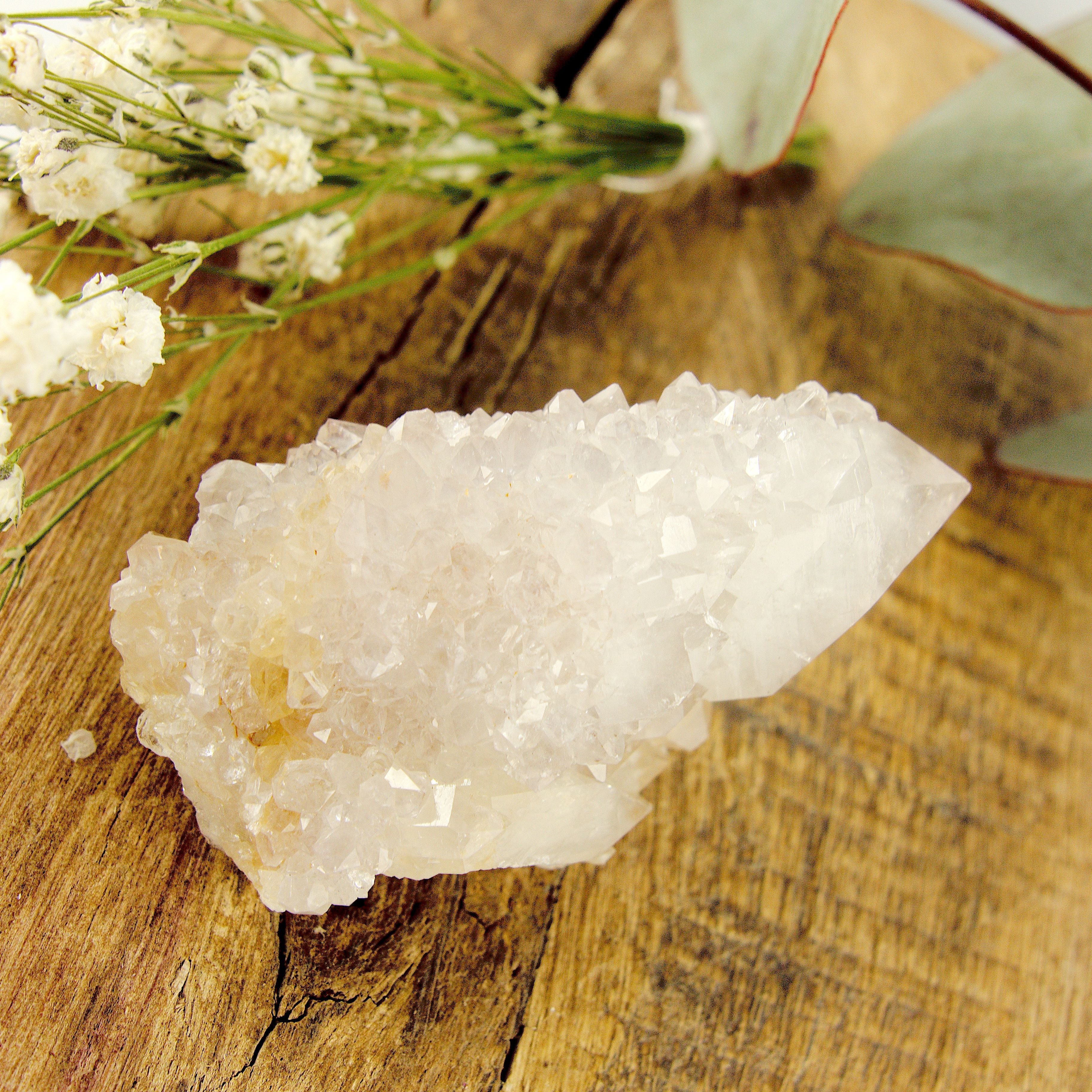 Pale Purple Ametrine Spirit Quartz Cluster #1 - Earth Family Crystals