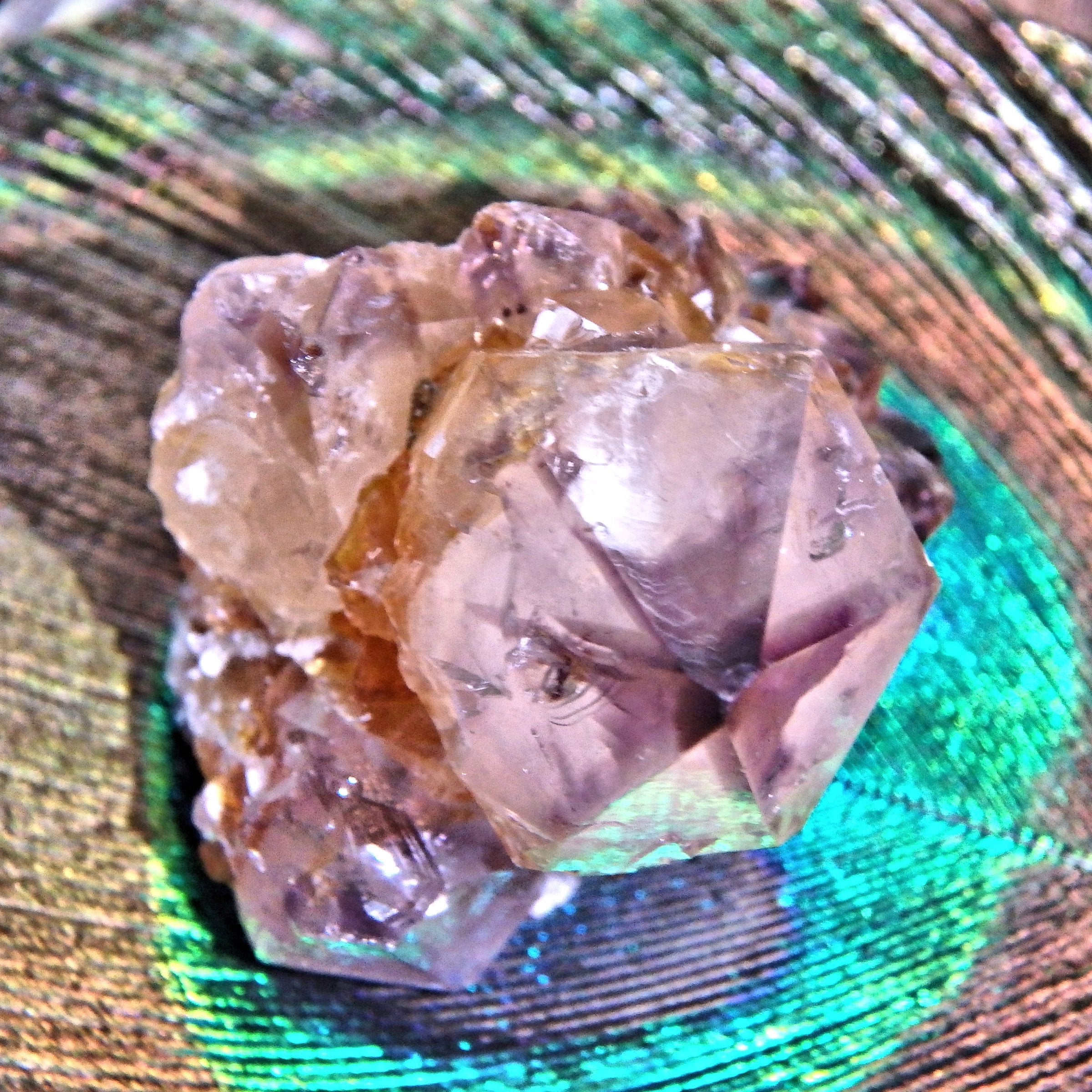 Star Ametrine Dainty Natural Spirit Quartz Cluster