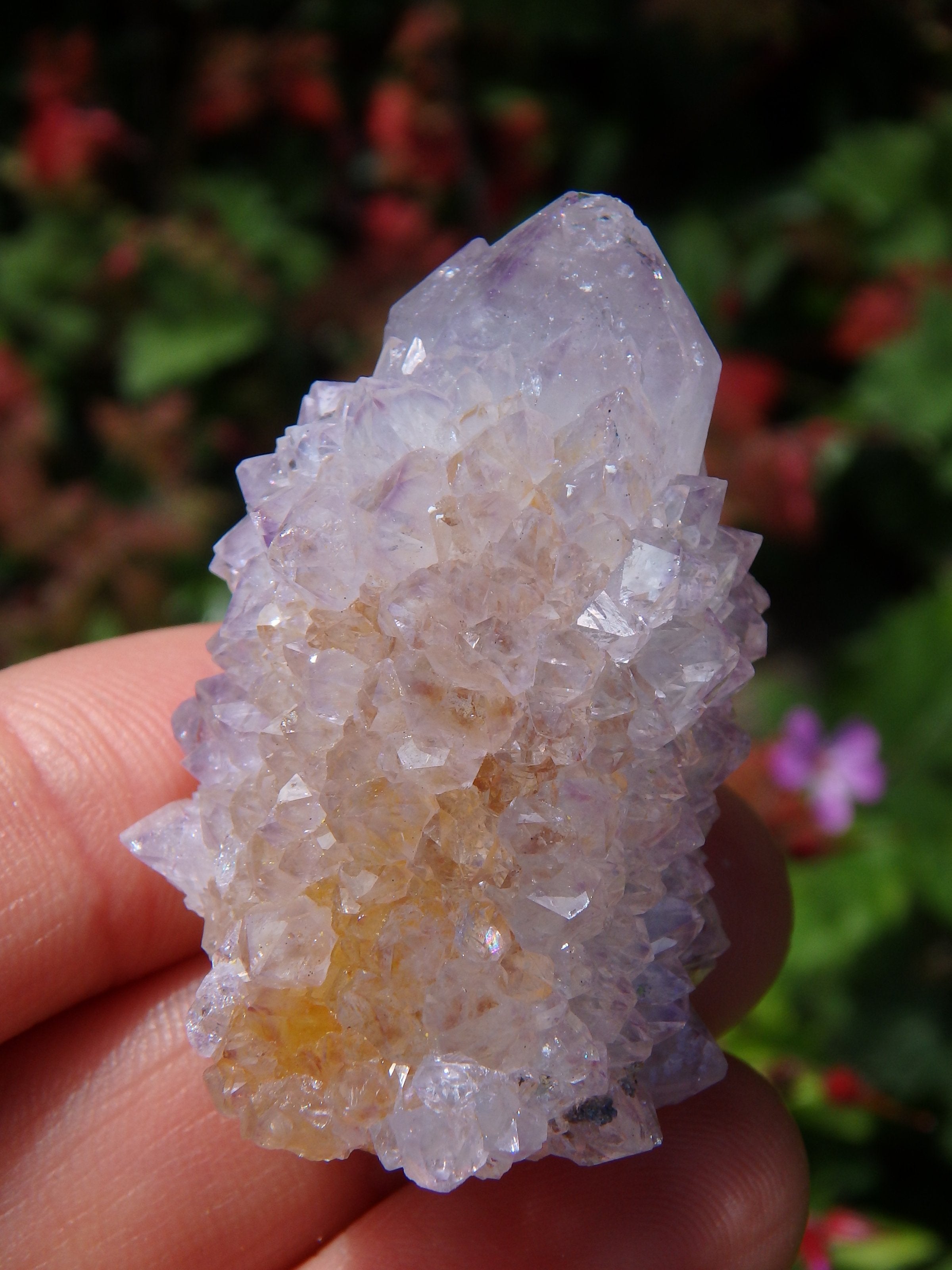 Single Point Ametrine Spirit Quartz Specimen From South Africa - Earth Family Crystals