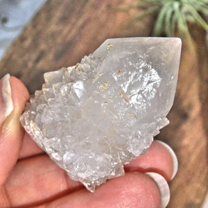 Record Keepers White Spirit Quartz Point With Citrine Inclusion - Earth Family Crystals