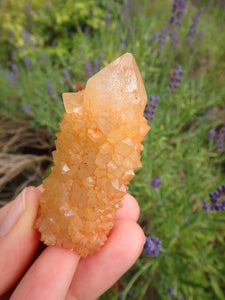 Awesome Natural Citrine Spirit Quartz Point From South Africa 2 - Earth Family Crystals