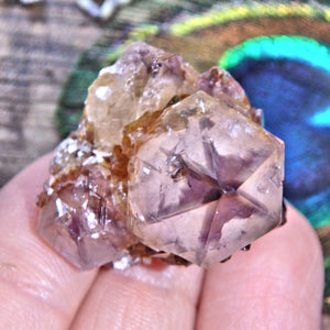 Star Ametrine Dainty Natural Spirit Quartz Cluster