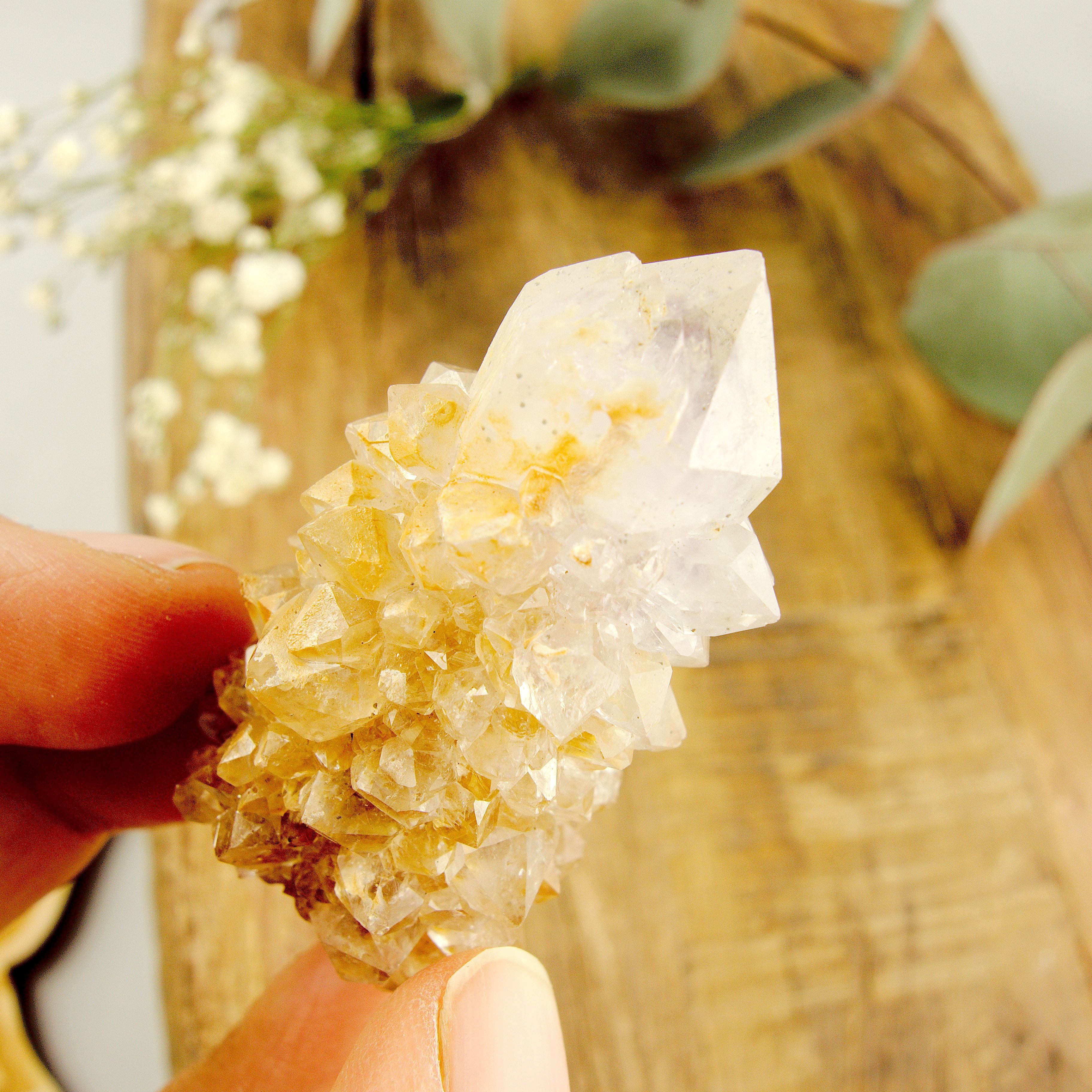 Phantom Included Purple Ametrine Spirit Quartz Cluster #2 - Earth Family Crystals