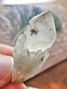 Very Rare Collectors Specimen~Dainty Star Hollandite Elestial Point From Madagascar - Earth Family Crystals