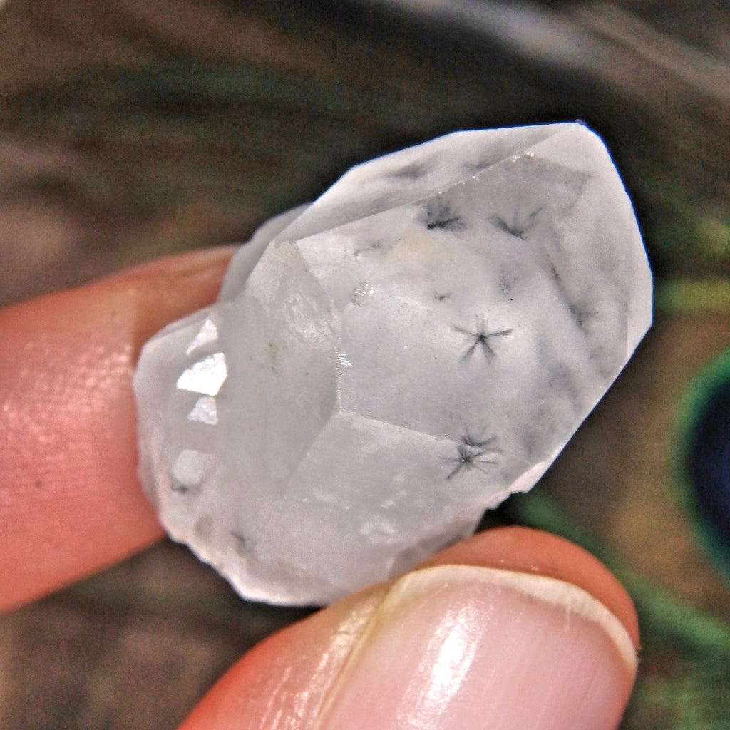 Very Rare Collectors Star Hollandite Elestial Dainty Specimen From Madagascar - Earth Family Crystals