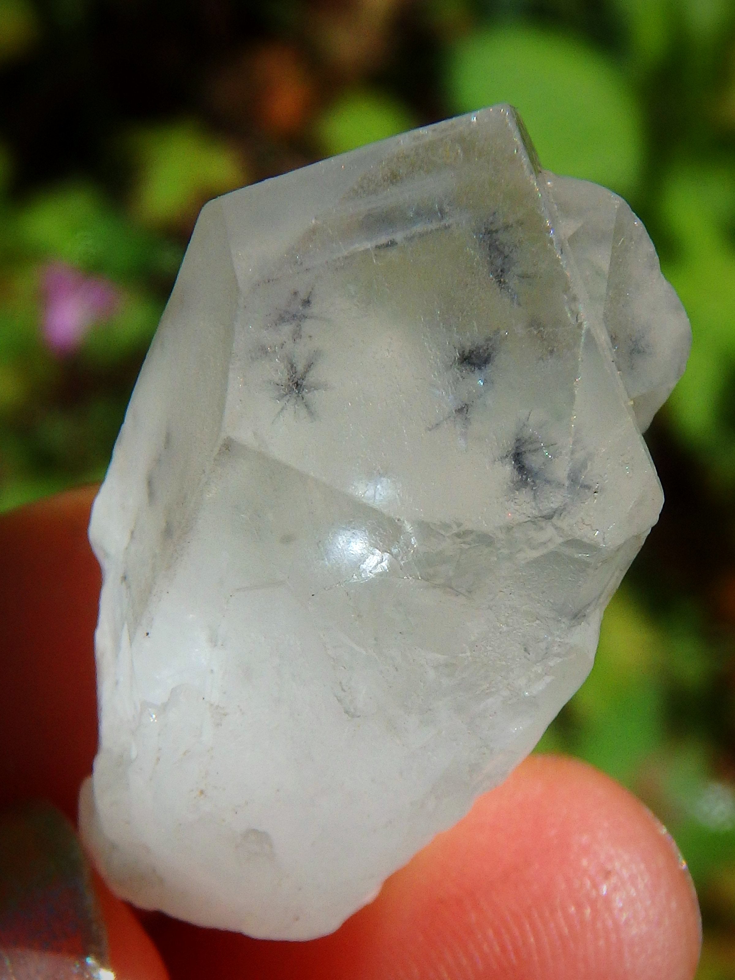 Very Rare~Star Hollandite Quartz Point With Phantom Collectors Dainty Specimen From Madagascar - Earth Family Crystals