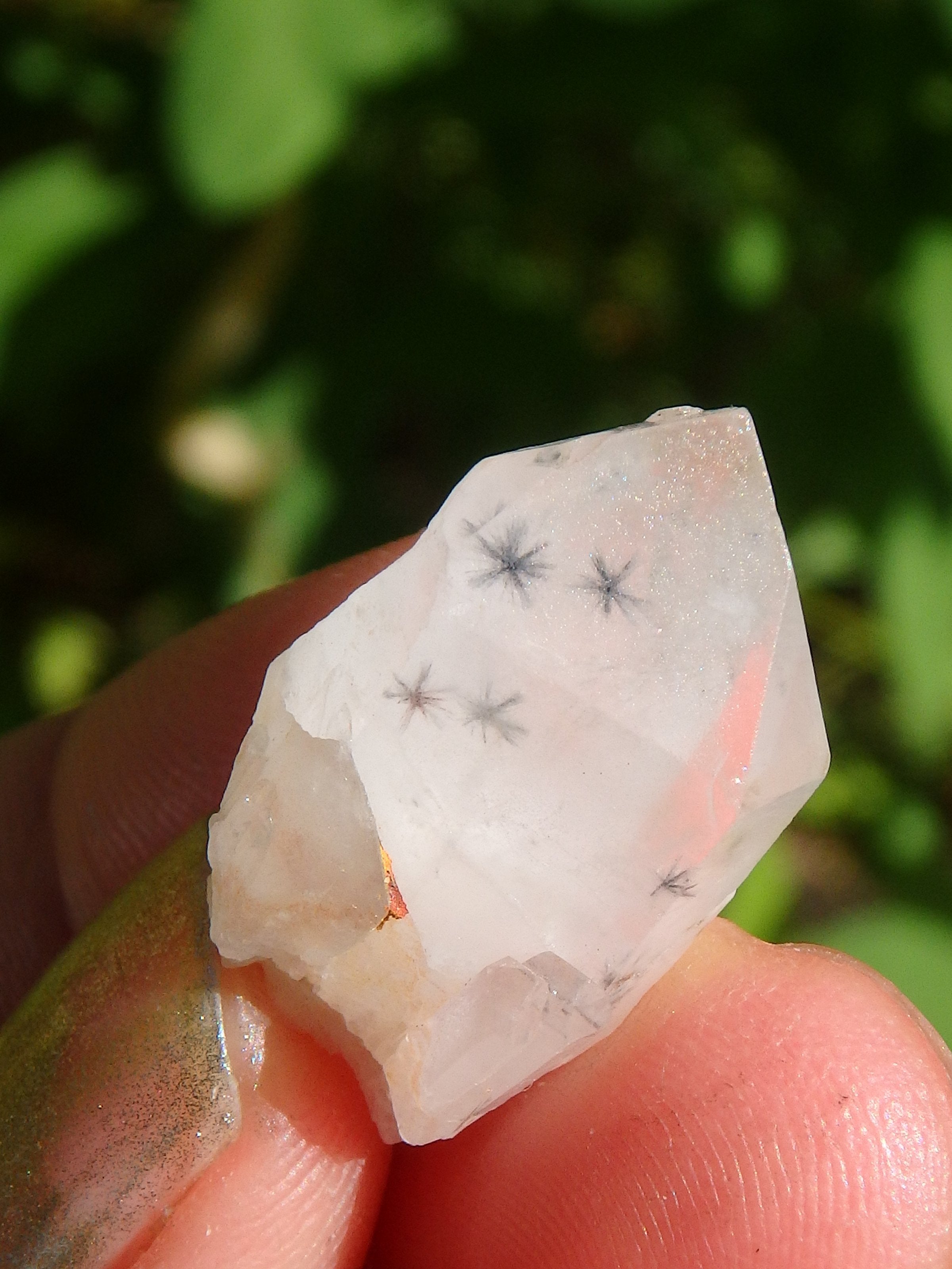 Very Rare~Star Hollandite Quartz Point Collectors Dainty Specimen From Madagascar - Earth Family Crystals