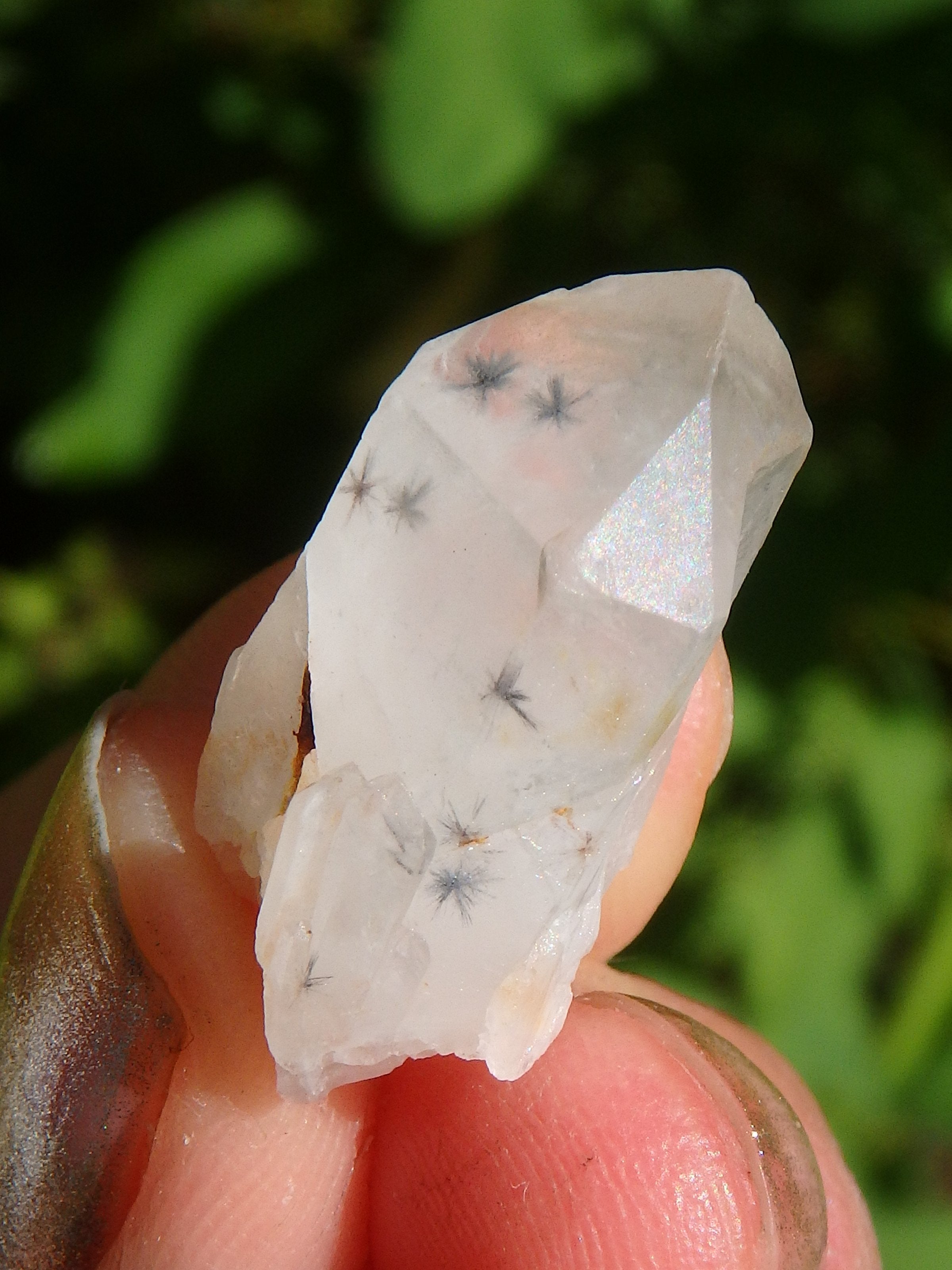 Very Rare~Star Hollandite Quartz Point Collectors Dainty Specimen From Madagascar - Earth Family Crystals