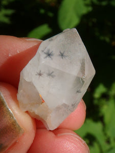 Very Rare~Star Hollandite Quartz Point Collectors Dainty Specimen From Madagascar - Earth Family Crystals