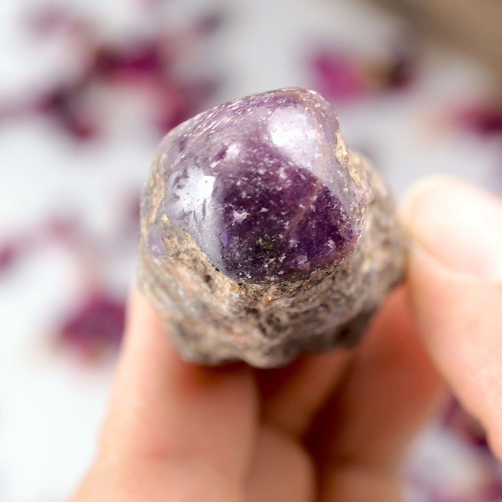 Partially Polished Star Ruby Point Specimen From India #1 - Earth Family Crystals