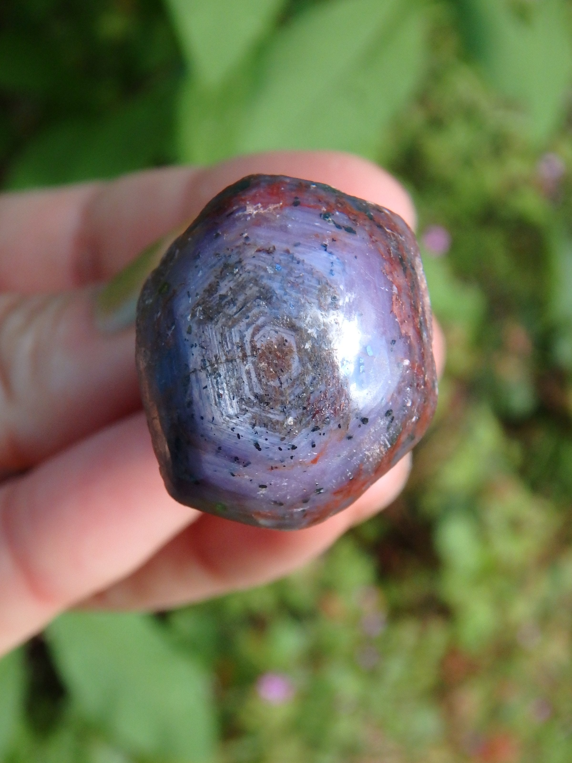 Purple &  Burgundy Star Ruby Point From India