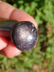 Small Star Ruby Point From India 2 - Earth Family Crystals