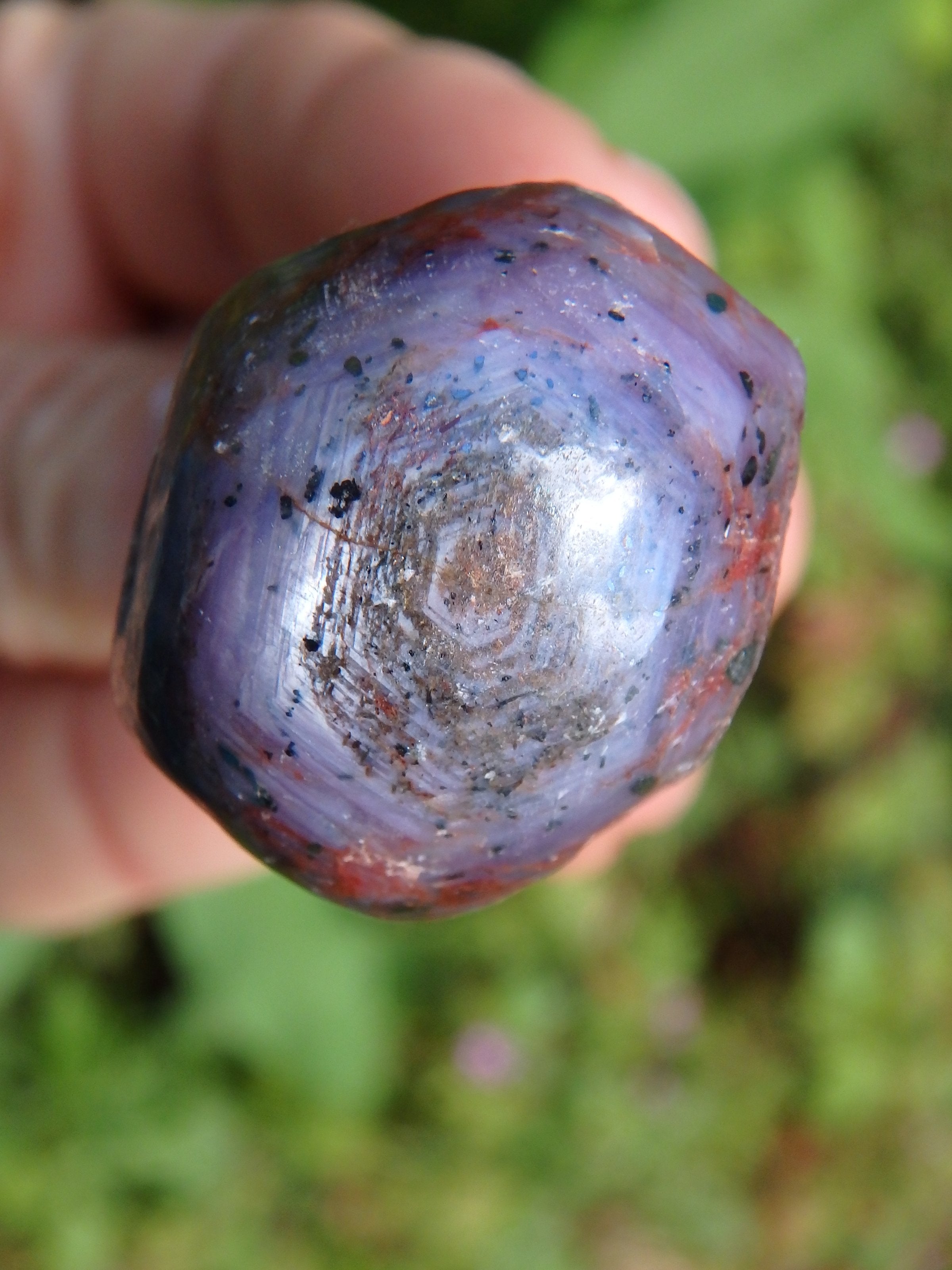 Purple &  Burgundy Star Ruby Point From India