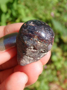 Small Star Ruby Point From India 2 - Earth Family Crystals