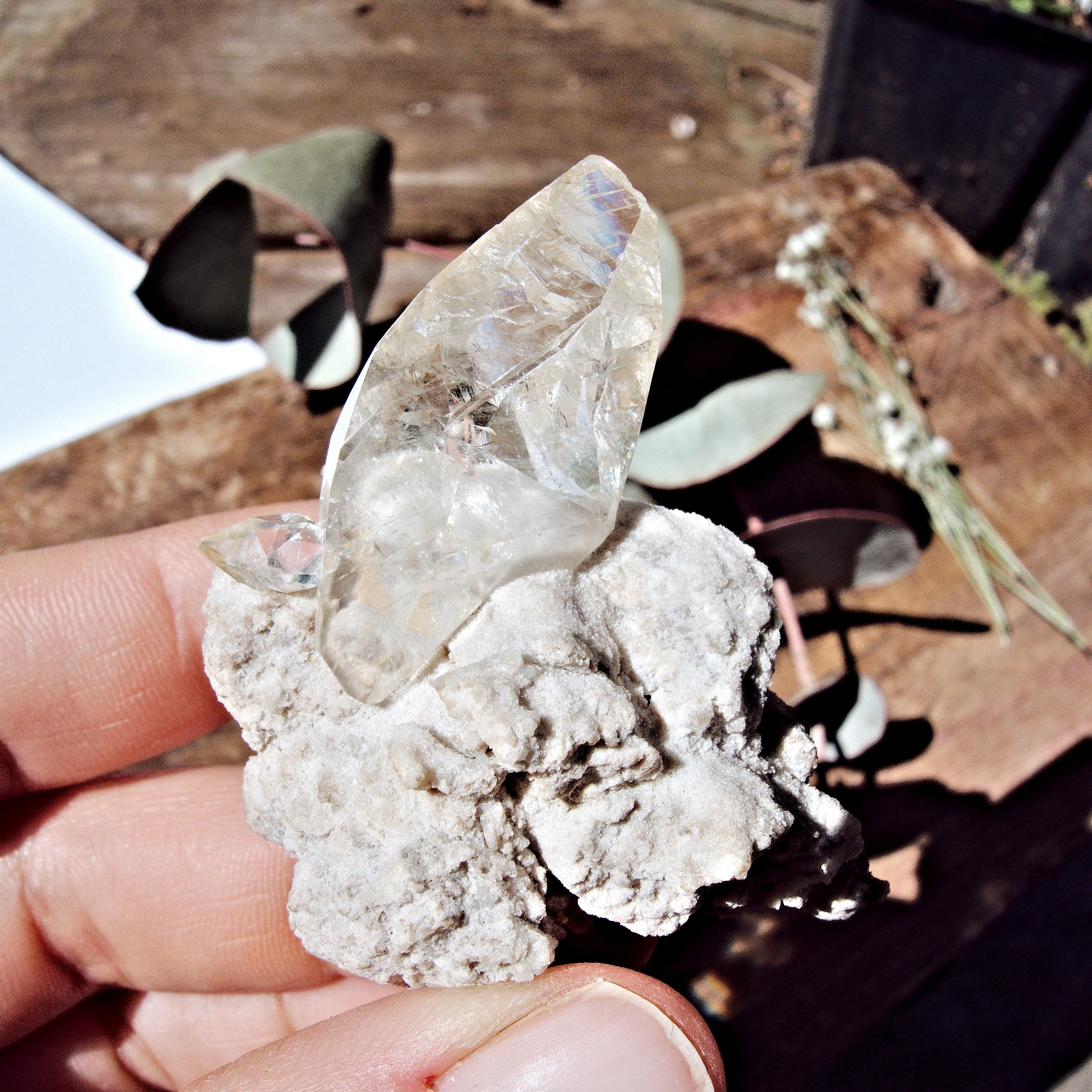 Elmwood Mine DT Golden Stellar Beam Calcite Nestled in Matrix - Earth Family Crystals