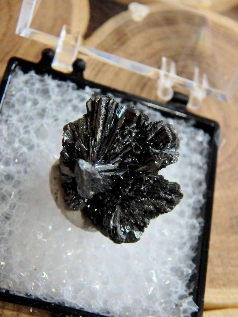 Shiny Stibnite Cluster in Collectors Box From Herja Mine, Romania 1 - Earth Family Crystals